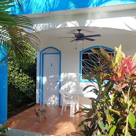 Chambre Bungalow2 Las Terrenas Dış mekan fotoğraf