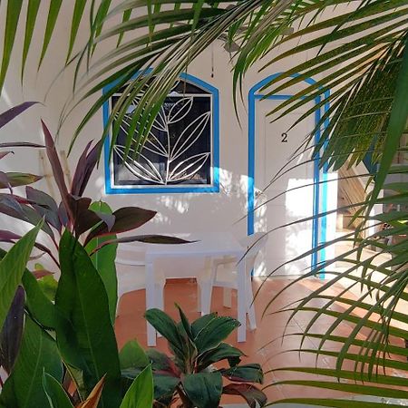 Chambre Bungalow2 Las Terrenas Dış mekan fotoğraf