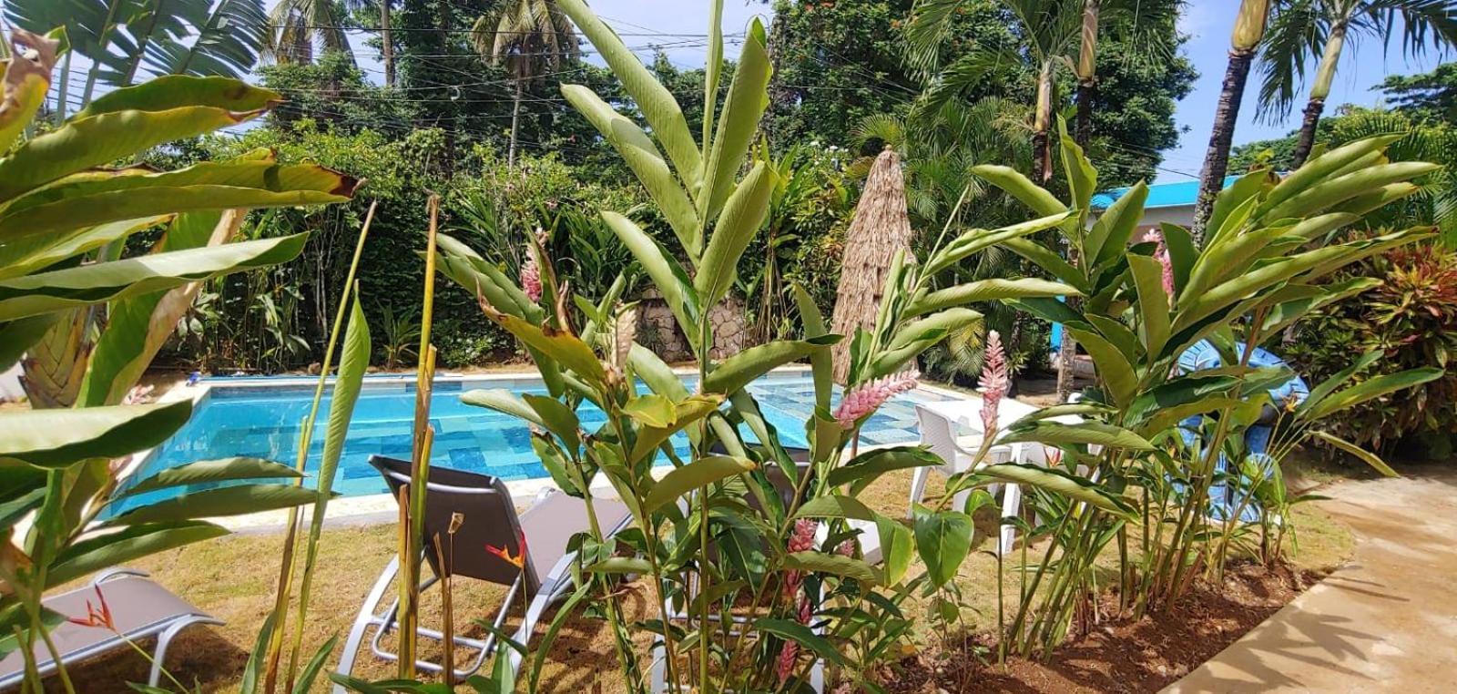 Chambre Bungalow2 Las Terrenas Dış mekan fotoğraf