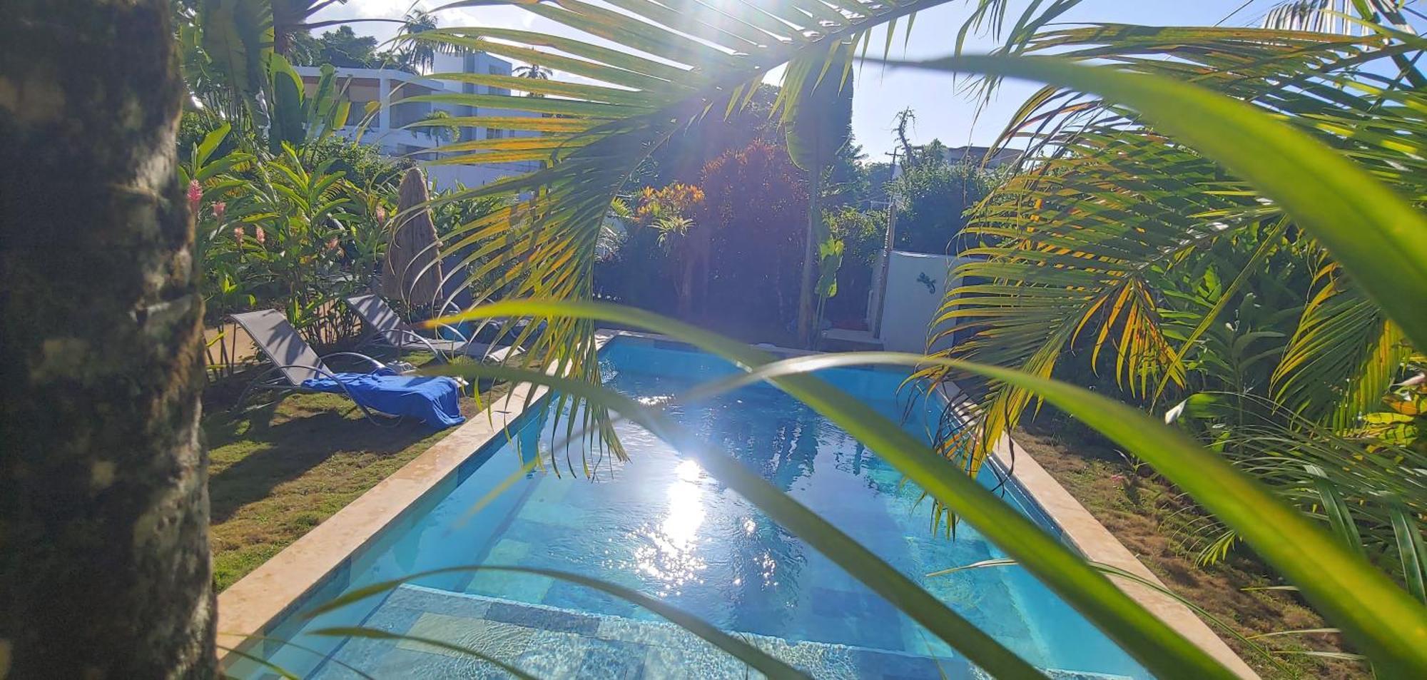 Chambre Bungalow2 Las Terrenas Dış mekan fotoğraf