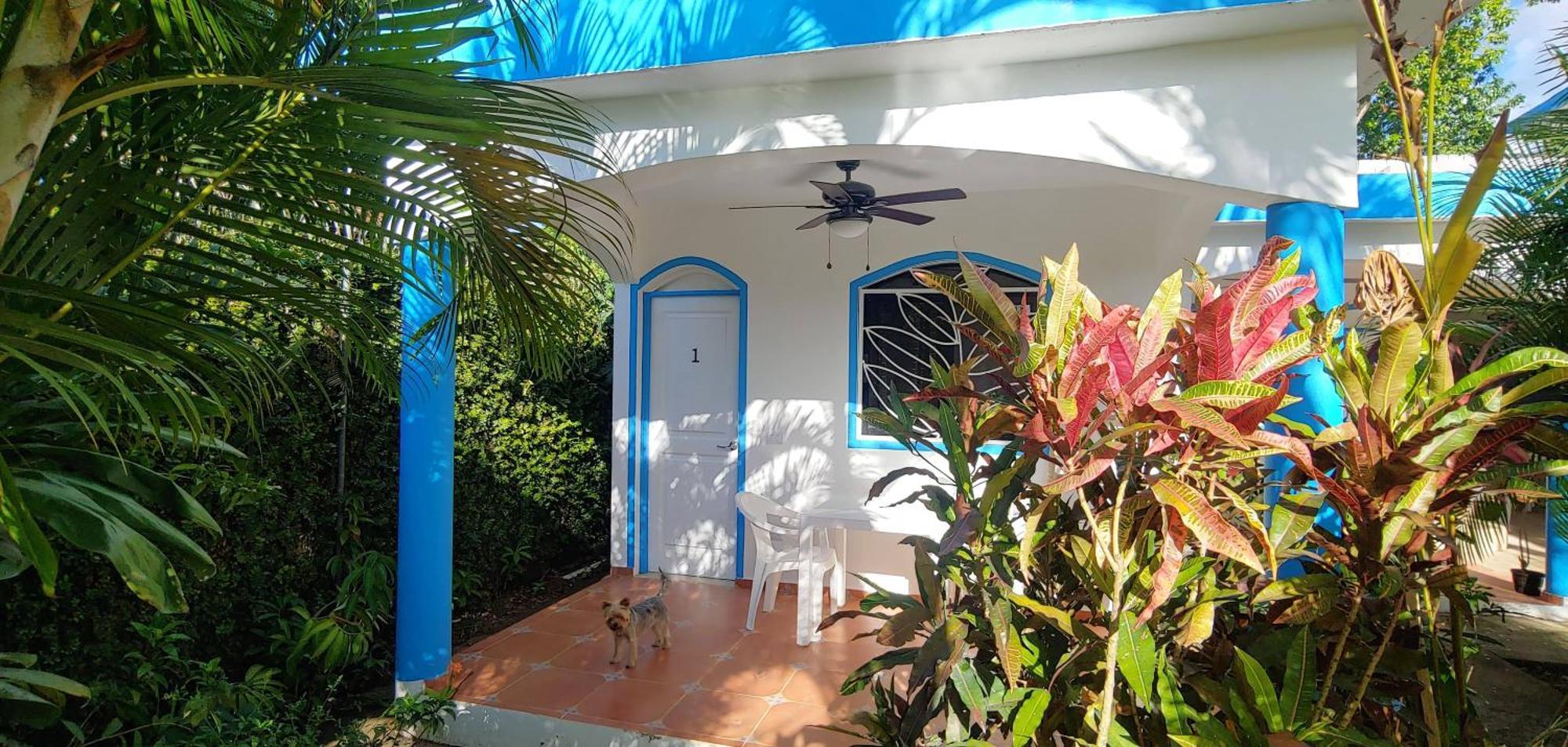 Chambre Bungalow2 Las Terrenas Dış mekan fotoğraf