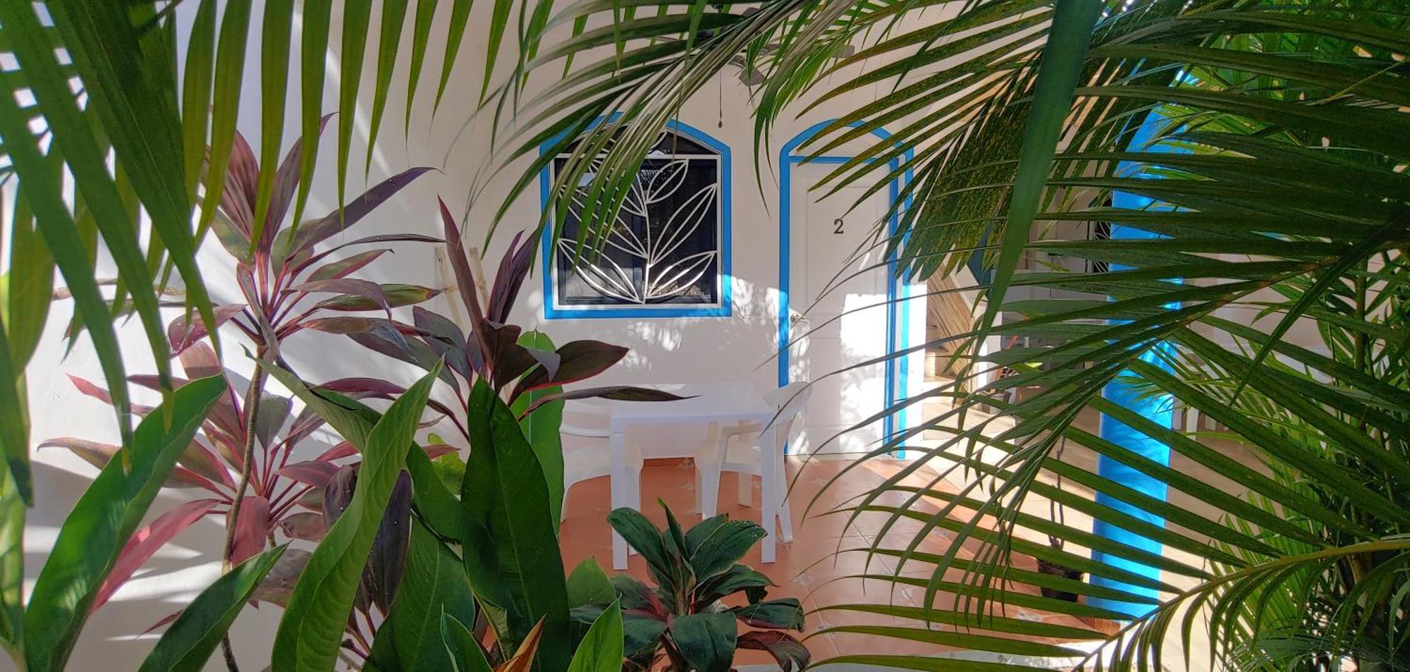 Chambre Bungalow2 Las Terrenas Dış mekan fotoğraf